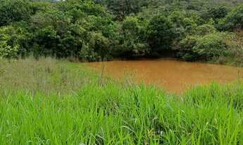 Imagem: Vendo sítio, 97 hectares, por 770 mil