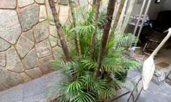 Imagem 11: Casa 211 m² - Parque São Geraldo - Bauru - SP