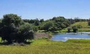 Imagem: Velleda oferece belo sítio de 5,2 hectares