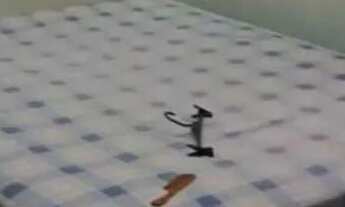 Imagem 2: CASA GEMINADA/VENDA