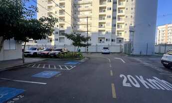 Imagem 3: Vista das embaúbas - Mosaico