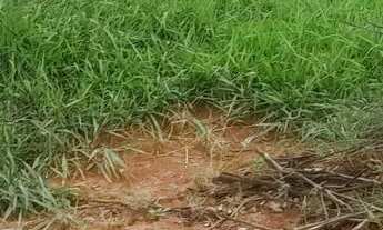 Imagem 6: Terreno em ótima localização