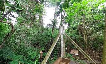 Imagem 6: Chácara 1000 metros São Miguel Arcanjo II - Tanque de Peixe - Piscina - Confira!