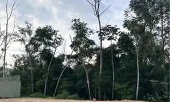 Imagem 5: Terro Plano 144 m2 -Vita Tolaine Jandira