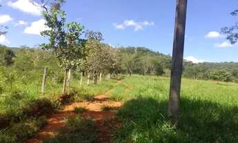 Imagem 6: Fazendinha 14 alqueires