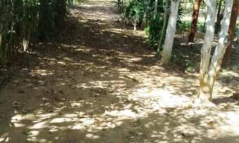 Imagem 3: Imóvel para venda com 2025 metros quadrados com 2 quartos em Setor Central - Heitoraí - GO