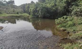 Imagem 5: Fazendinha 14 alqueires