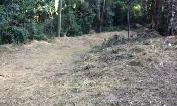 Imagem 7: Chácara chá Chácara com venda por R$150.000