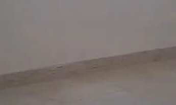 Imagem 8: APARTAMENTO REFORMADO OPORTUNIDADE ÚNICA