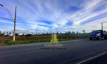 Imagem 3: Área beira-mar para locação. São quase 32.000m² (100x319), totalmente plana