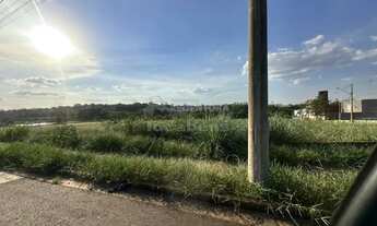 Imagem 3: Terreno Área em São José do Rio Preto