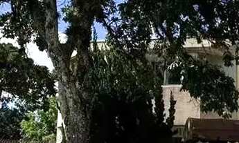 Imagem 2: São Francisco: Apartamento térreo com 3 quartos e 1 vaga próximo a praça do Gaúcho