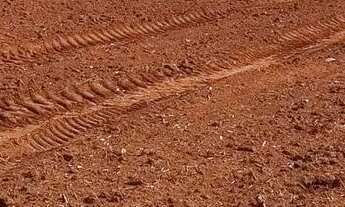 Imagem 2: Vendo Fazenda em São João da Aliança / Goiás!!!