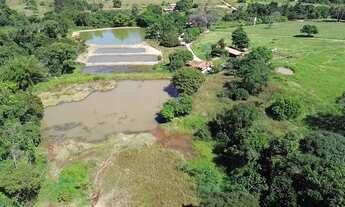 Imagem 2: Chácara de 8,5 alqueires rica em água com casa e curral top
