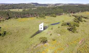 Imagem 7: Área rural com 67 ha, casas, açude e pinus