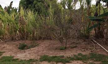 Imagem 5: Vende-se uma excelente fazenda de 149.9 hectares