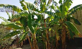 Imagem 7: Terreno/Padrão - Residencial - Comendador Mancor Daud