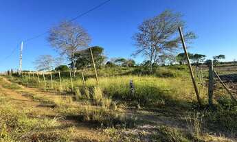 Imagem 5: Vendo tarefa de terra Ipuaçu- Havanna