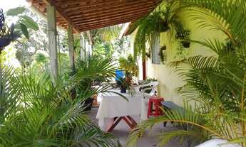 Imagem 6: Sítio em siriri