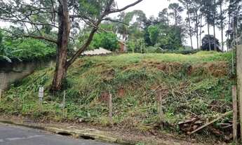 Imagem: Granja Viana, comercial