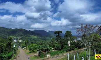Imagem 6: Terreno para Venda em Picada Café, Floresta