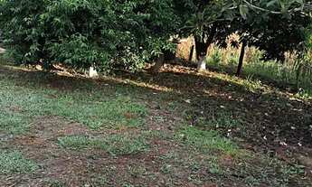 Imagem 7: Chácara de 5.5 Hectares na Pedra Fundamental / Planaltina DF