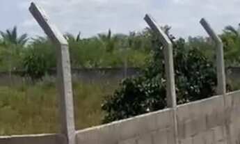 Imagem 5: Vendo ou troco Meia tarefa de terra em Magalhães