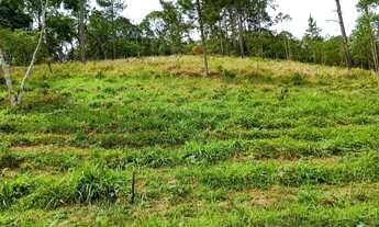 Imagem 2: Linda Chacara em São Paulo mais de 12.000 metros