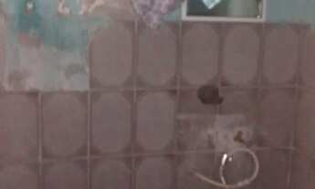 Imagem 2: Sepetiba próximo da praia do Cardo