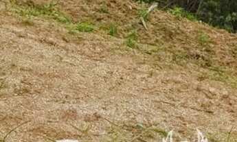 Imagem 3: Casa de condomínio para venda possui 500 metros quadrados em Centro - Vargem Grande Paulis