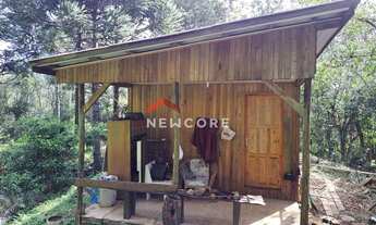 Imagem 4: Sítio em Estrada da Carapina - Vale do Carapina - São Francisco de Paula/RS