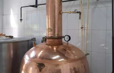 Imagem 6: Industria de Cachaça Cachaçaria com Canavial em Produção Aparecida de Goiânia Pronta para