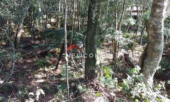 Imagem 3: Lote em Avenida Ximangos - Colinas - São Francisco de Paula/RS