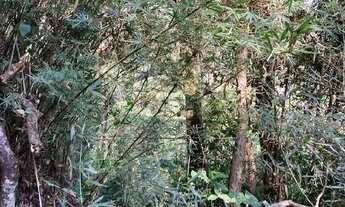 Imagem: Oportunidade Única em EMBU DAS ARTES