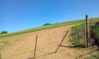 Imagem: Sítio em Rodovia Prefeito Quintino de Lima