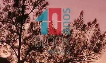 Imagem 5: Freguesia (Jacarepaguá