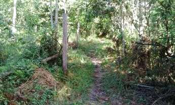 Imagem 2: Sítio/Terreno com 10,6 hectares à venda em Murinim, Benevides, Pará