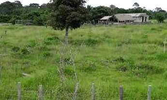 Imagem 4: Fazenda em Manoel urbano com 100 cabeça de gado