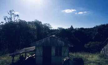 Imagem 2: Sítio com casa!!