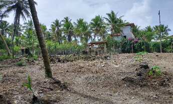 Imagem 7: Terreno litoral norte de Ilhéus a 150 mts da praia com energia elétrica