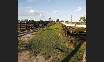 Imagem: Vendo 4 lotes em Rorainopolis