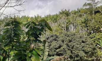 Imagem 3: Vendo Excelente Sitio Em Valença