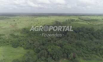 Imagem 6: Fazenda no Pará - Aurora do Pará - PA