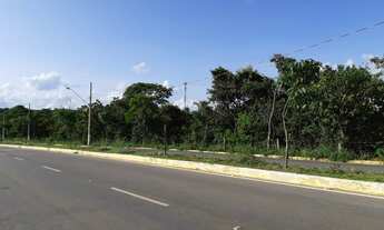 Imagem 7: Lotes a 3km da Lagoa Central Bairro Pronto para Construir