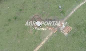 Imagem 5: Fazenda no Pará - São Domingos do Capim - 250 ha (51 alq