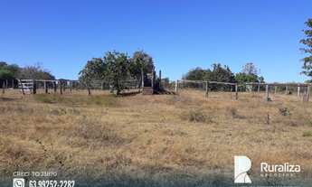 Imagem 6: Fazenda com dupla aptidão em Almas - TO