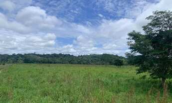 Imagem 3: Fazenda Em Cruzeiro do Sul