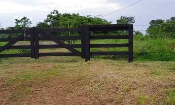Imagem 3: Vendo ou troco uma Terra em Feijó