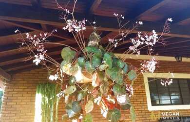 Imagem 6: Chácara com 2 dormitórios à venda, 5000 m² por R$ 560.000,00 - Centro - Águas de Santa Bár