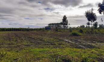 Imagem 3: Chácaras de fácil acesso e valor super em conta !!
